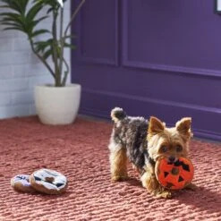 Frisco Halloween Donuts Plush Squeaky Dog Toy -Pet Toys Store 270369 PT3. AC SS1800 V1624817409