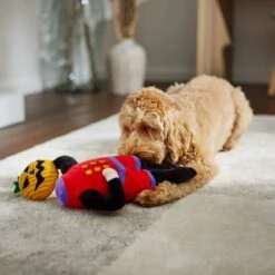 Frisco Halloween Headless Rider Plush Squeaky Dog Toy -Pet Toys Store 270375 PT3. AC SS1800 V1624817181