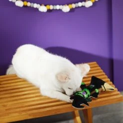 Frisco Halloween Good Witch, Bad Witch Reversible Plush Squeaky Dog Toy -Pet Toys Store 270429 PT3. AC SS1800 V1624817643