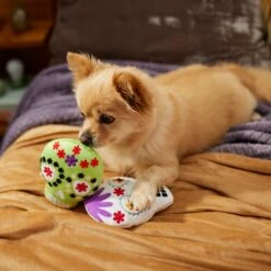 Frisco Halloween Day Of The Dead Sugar Skull Plush Squeaky Dog Toy, 2 Count -Pet Toys Store 270443 PT3. AC SS1800 V1624824826