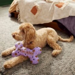 Frisco Halloween My First Halloween Bone Reversible Plush Squeaky Dog Toy -Pet Toys Store 270452 PT3. AC SS1800 V1624817314