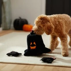 Frisco Halloween Haunted Tree Hide & Seek Puzzle Plush Squeaky Dog Toy -Pet Toys Store 270488 PT3. AC SS1800 V1624817078