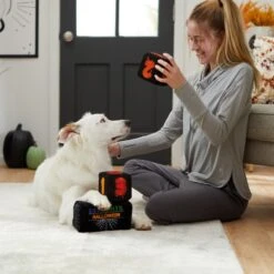 Frisco Halloween 30 Days Of Halloween Countdown Blocks Plush Squeaky Dog Toy -Pet Toys Store 270494 PT3. AC SS1800 V1624817483