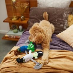 Frisco Halloween Frankenstein & Bride Plush With Rope Squeaky Dog Toy -Pet Toys Store 270496 PT3. AC SS1800 V1624824775