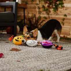 Frisco Halloween Haunted Friends Plush With Rope Squeaky Dog Toy -Pet Toys Store 270500 PT3. AC SS1800 V1624825043