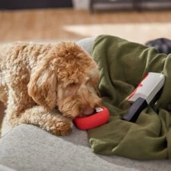 Frisco Halloween Vampire Teeth & Knife Latex Squeaky Dog Toy -Pet Toys Store 270512 PT3. AC SS1800 V1624817093