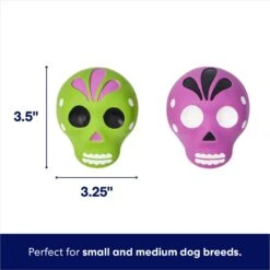Frisco Halloween Sugar Skulls Latex Squeaky Dog Toy -Pet Toys Store 270518 PT1. AC SS1800 V1689877601
