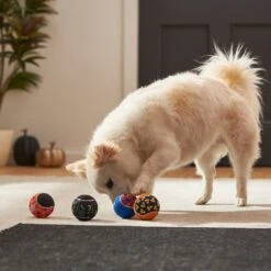 Frisco Halloween Glow In The Dark Fetch Squeaky Tennis Ball Dog Toy -Pet Toys Store 270525 PT3. AC SS1800 V1624824980