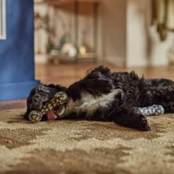 Frisco Halloween Candy Corn & Ghosts TPR Bone Squeaky Dog Toy, 2 Count -Pet Toys Store 270529 PT3. AC SS1800 V1689876508