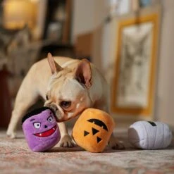 Frisco Halloween Haunted Friends Plush Squeaky Dog Toy, 3 Count -Pet Toys Store 270533 PT3. AC SS1800 V1689878438