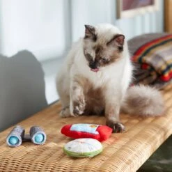 Frisco Camping Compass & Lantern Plush Cat Toy With Catnip, 2 Count 7 Frisco Camping Compass & Lantern Plush Cat Toy With Catnip, 2 Count -Pet Toys Store 270985 PT3. AC SS1800 V1625009053