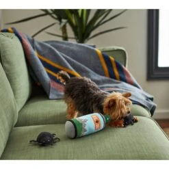 Frisco Camping Bug Spray Plush Squeaky Dog Toy, 3 Count -Pet Toys Store 270989 PT3. AC SS1800 V1625009020