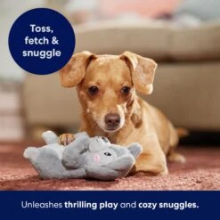 Frisco Camping Squirrel Plush Squeaky Dog Toy -Pet Toys Store 271001 PT5. AC SS1800 V1691785245