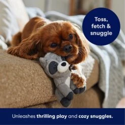 Frisco Camping Raccoon Plush Squeaky Dog Toy 12 Frisco Camping Raccoon Plush Squeaky Dog Toy -Pet Toys Store 271003 PT4. AC SS1800 V1695670777