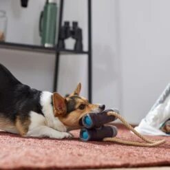 Frisco Camping Binoculars Plush With Rope Squeaky Dog Toy -Pet Toys Store 271009 PT3. AC SS1800 V1625009167