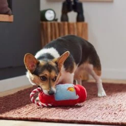 Frisco Camping Lantern Plush With Rope Squeaky Dog Toy -Pet Toys Store 271013 PT3. AC SS1800 V1625160766