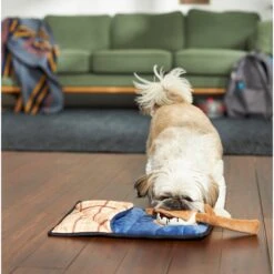 Frisco Camping Smores & Sleeping Bag Flat Plush Squeaky Dog Toy, 2 Count -Pet Toys Store 271018 PT3. AC SS1800 V1625009010