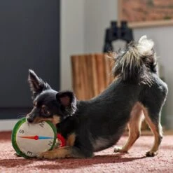 Frisco Camping Compass Plush With Rope Squeaky Dog Toy -Pet Toys Store 271020 PT3. AC SS1800 V1625008965