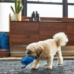 Frisco Camping Canteen Plush With Rope Squeaky Dog Toy -Pet Toys Store 271022 PT3. AC SS1800 V1625009237