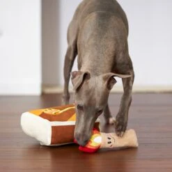 Frisco Camping Match Box 2-in-1 Plush Squeaky Dog Toy 9 Frisco Camping Match Box 2-in-1 Plush Squeaky Dog Toy -Pet Toys Store 271029 PT3. AC SS1800 V1625008996