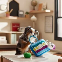 Frisco Back To School Lunchbox With Juice & Apple Plush With Rope Squeaky Dog Toy -Pet Toys Store 279427 PT3. AC SS1800 V1628191372