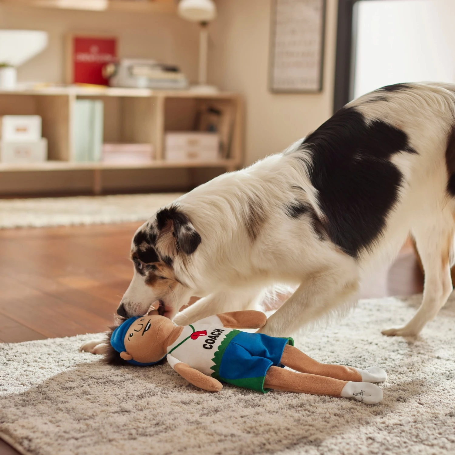 Frisco Gym Teacher Plush Squeaky Dog Toy 5 Frisco Gym Teacher Plush Squeaky Dog Toy - Image 3