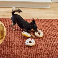 Frisco Fall Maple Bacon Donuts Plush Squeaky Dog Toy, 3 Count 9 Frisco Fall Maple Bacon Donuts Plush Squeaky Dog Toy, 3 Count -Pet Toys Store 285613 PT3. AC SS1800 V1629725241