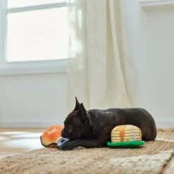 Frisco Fall Pancakes & Maple Syrup Plush Squeaky Dog Toy, 2 Count -Pet Toys Store 285627 PT3. AC SS1800 V1629725170