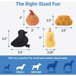 Frisco Fall Farmhouse Hide & Seek Puzzle Plush Squeaky Dog Toy -Pet Toys Store 285629 PT2. AC SS1800 V1636990881