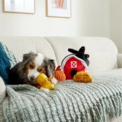 Frisco Fall Farmhouse Hide & Seek Puzzle Plush Squeaky Dog Toy -Pet Toys Store 285629 PT3. AC SS1800 V1629725107