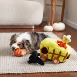 Frisco Fall Hay Wagon Hide & Seek Puzzle Plush Squeaky Dog Toy 9 Frisco Fall Hay Wagon Hide & Seek Puzzle Plush Squeaky Dog Toy -Pet Toys Store 285631 PT3. AC SS1800 V1629724940