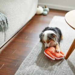 Frisco Fall Sweater Weather Flat Plush Squeaky Dog Toy -Pet Toys Store 285635 PT3. AC SS1800 V1629725212