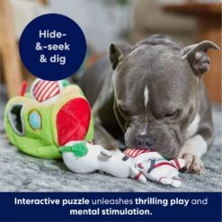 Frisco Holiday Rocket Ship Hide & Seek Puzzle Plush Squeaky Dog Toy -Pet Toys Store 287101 PT5. AC SS1800 V1695659151