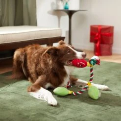 Frisco Holiday Lights Plush With Rope Squeaky Dog Toy 9 Frisco Holiday Lights Plush With Rope Squeaky Dog Toy -Pet Toys Store 287109 PT3. AC SS1800 V1632775707
