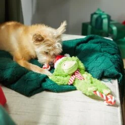 Frisco Holiday Monkey Plush With Rope Squeaky Dog Toy -Pet Toys Store 287115 PT3. AC SS1800 V1632774182