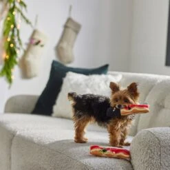 Frisco Holiday Bacon Plush Squeaky Dog Toy, 2 Count -Pet Toys Store 287143 PT3. AC SS1800 V1632774888