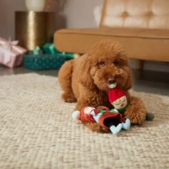 Frisco Holiday Carolers Plush Squeaky Dog Toy, 3 Count 7 Frisco Holiday Carolers Plush Squeaky Dog Toy, 3 Count -Pet Toys Store 287169 PT3. AC SS1800 V1632774907