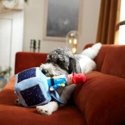 Frisco Nutcracker-in-a-Box Plush Squeaky Dog Toy 9 Frisco Nutcracker-in-a-Box Plush Squeaky Dog Toy -Pet Toys Store 287173 PT3. AC SS1800 V1632773316