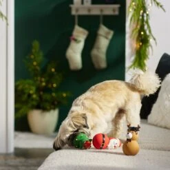 Frisco Holiday Santa & Friends Latex Squeaky Dog Toy -Pet Toys Store 287181 PT3. AC SS1800 V1632775363