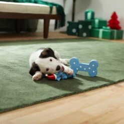 Frisco Blue Bundle Latex Squeaky Puppy Toy, 2 Count -Pet Toys Store 287185 PT3. AC SS1800 V1632775643