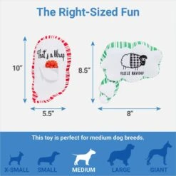 Frisco Holiday Thought Bubble Plush Squeaky Dog Toy, 2 Count -Pet Toys Store 287195 PT1. AC SS1800 V1637705017