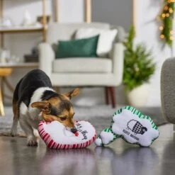 Frisco Holiday Thought Bubble Plush Squeaky Dog Toy, 2 Count -Pet Toys Store 287195 PT3. AC SS1800 V1632772983