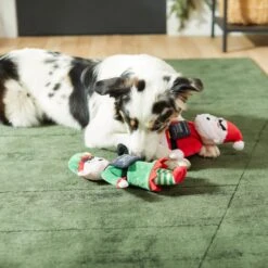 Frisco Holiday Bad Santa & Elf Plush Squeaky Dog Toy -Pet Toys Store 287223 PT3. AC SS1800 V1632773570