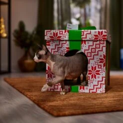 Frisco Holiday Gift Box Cardboard Cat House -Pet Toys Store 287291 PT4. AC SS1800 V1695045716