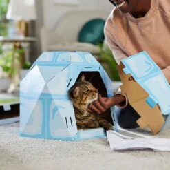Frisco Igloo Cardboard Cat House -Pet Toys Store 287293 PT3. AC SS1800 V1692035199
