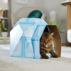 Frisco Igloo Cardboard Cat House -Pet Toys Store 287293 PT4. AC SS1800 V1692035193