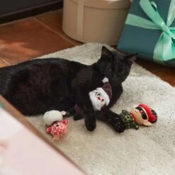Frisco Holiday Hipster Santa & Friends Plush Cat Toy With Catnip, 3 Count 7 Frisco Holiday Hipster Santa & Friends Plush Cat Toy With Catnip, 3 Count -Pet Toys Store 287317 PT3. AC SS1800 V1632774130