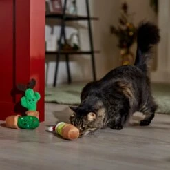Frisco Holiday Cactus Plush Cat Toy With Catnip, 3 Count -Pet Toys Store 287329 PT3. AC SS1800 V1661874421