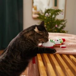 Frisco Naughty Or Nice Snowman Reversible Plush Cat Toy With Catnip -Pet Toys Store 287387 PT3. AC SS1800 V1632774541