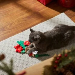 Frisco Flower Bouquet Plush Cat Toy With Catnip 8 Frisco Flower Bouquet Plush Cat Toy With Catnip -Pet Toys Store 287395 PT3. AC SS1800 V1632774747